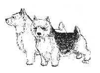 wpe1D.jpg (5185 bytes)