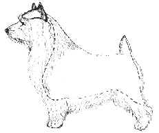 wpe1B.jpg (5410 bytes)